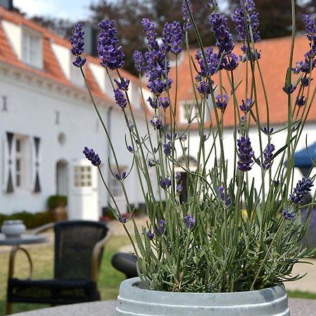 Haelen Kasteel Aldenghoor B&B 외부 사진