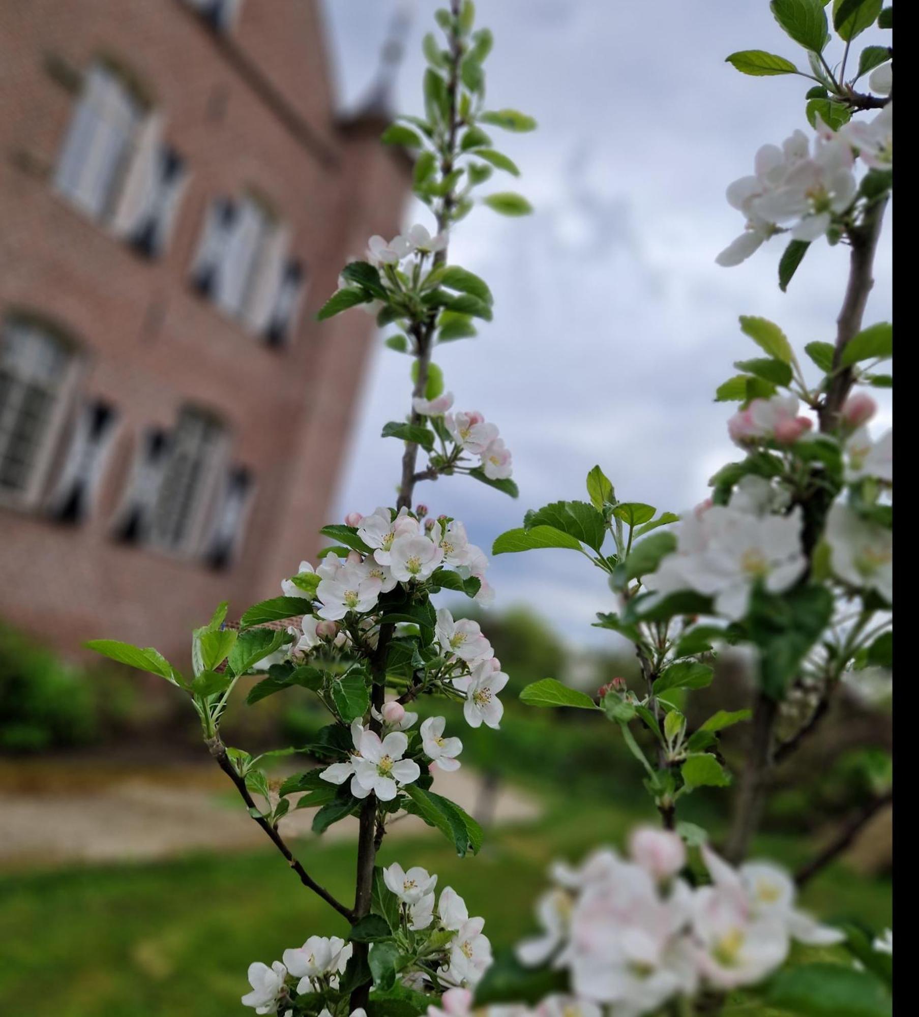 Haelen Kasteel Aldenghoor B&B 외부 사진